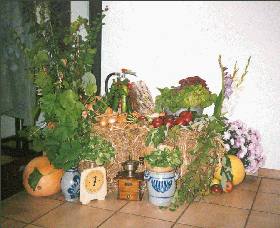 Bild5.jpg